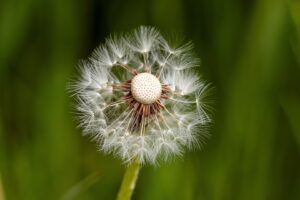 Building Mental Resilience: Strategies for a Stronger Mind