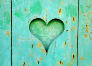 Understanding the Basics of Mental Health: An Introduction